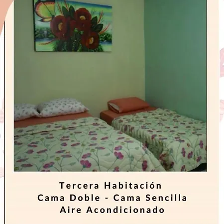 Casa - Tayrona Hostel